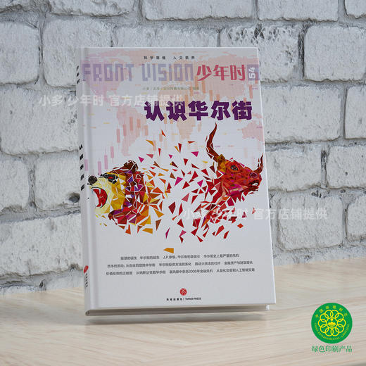 少年时54 认识华尔街 商品图1