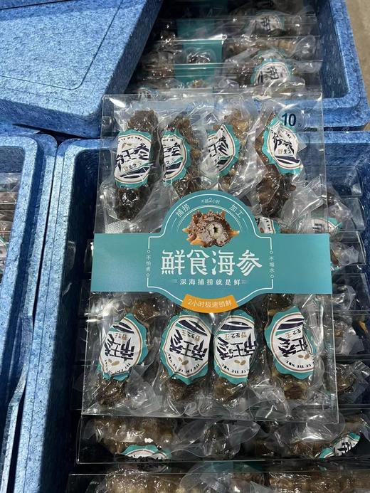 自营（金参水产）-冷蒸鲜食海参 商品图1