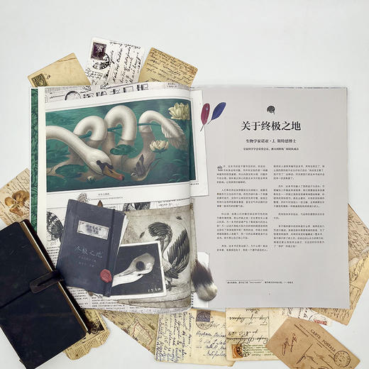 终极之地：神奇幻想生物大图鉴 商品图2