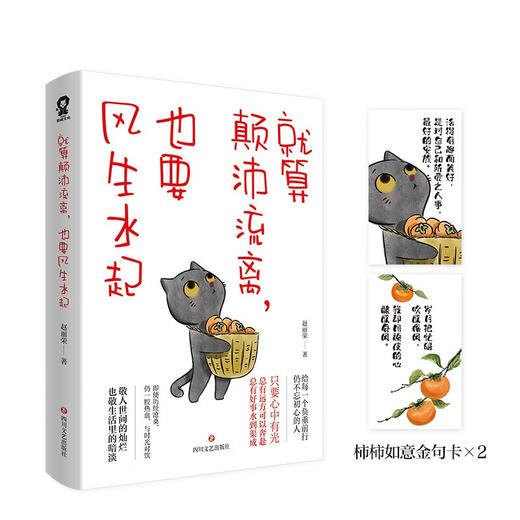 就算颠沛流离 也要风生水起 赵丽荣 著 励志与成功 商品图1