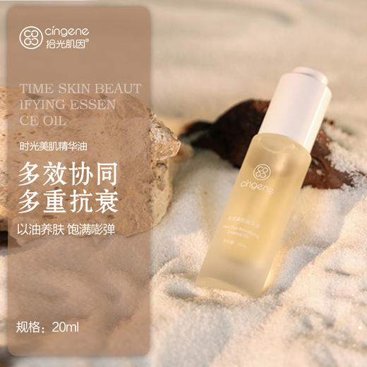 铂金系列全套（10件套盒） 商品图4