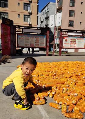 粉丝推荐|@豆豆麻麻的穿搭分享