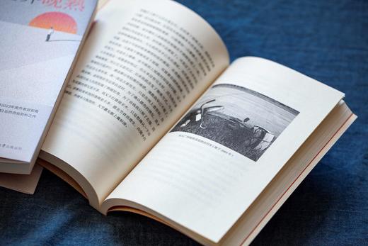 【印章】我比世界晚熟 豆瓣年度作者胡安焉 继《我在北京送快递》后的非虚构新作 商品图2