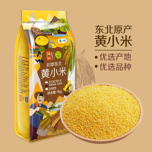 初萃 东北黄小米1kg 商品图1