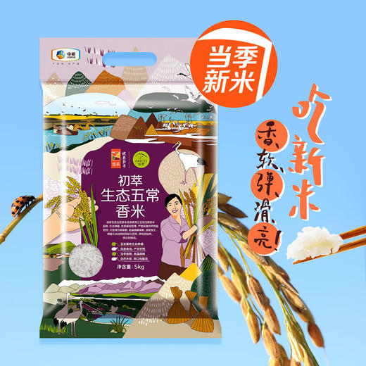 初萃  生态五常香米5kg 商品图1