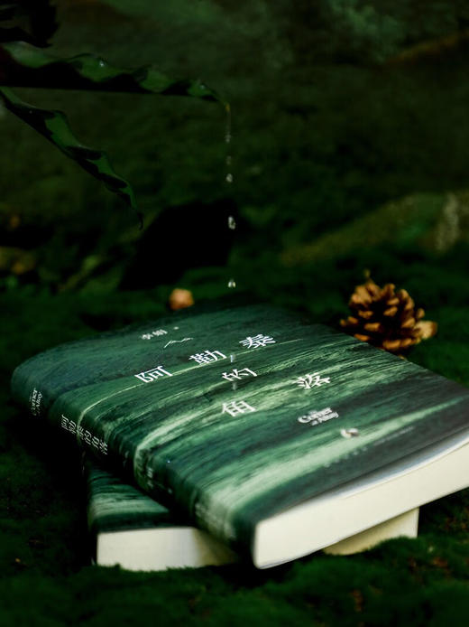 阿勒泰的角落 李娟成名作 豆瓣9分 毛不易 于适推荐 商品图8