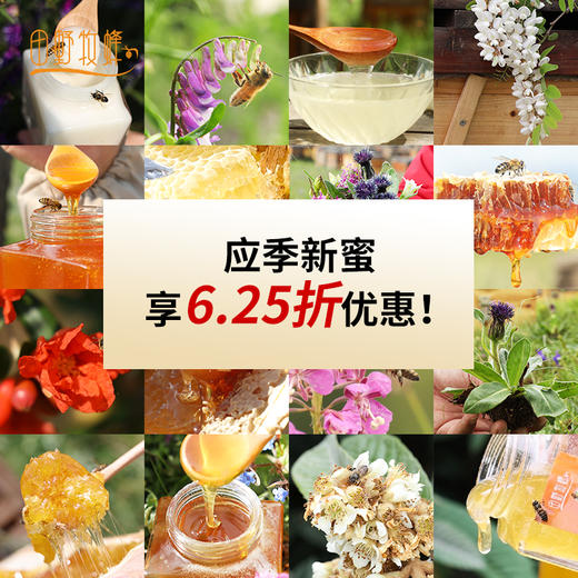 田野牧蜂【年卡蜂蜜月月鲜】全年20瓶每季不同 应季发送 优先畅享小蜜种 金奖品质 商品图1