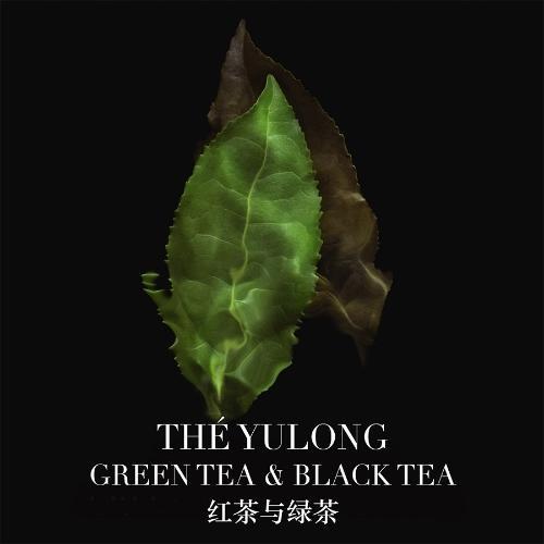 【航免仓】Armani/阿玛尼高定清新系列香水（玉龙茶）100ml 商品图3