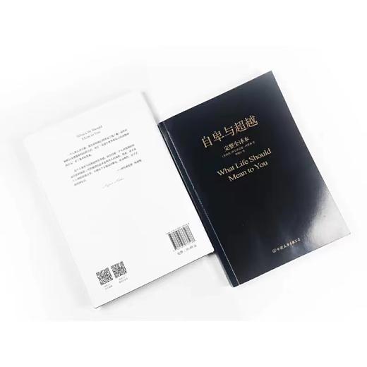 自卑与超越 阿尔弗雷德·阿德勒著作 中国友谊出版公司 商品图2