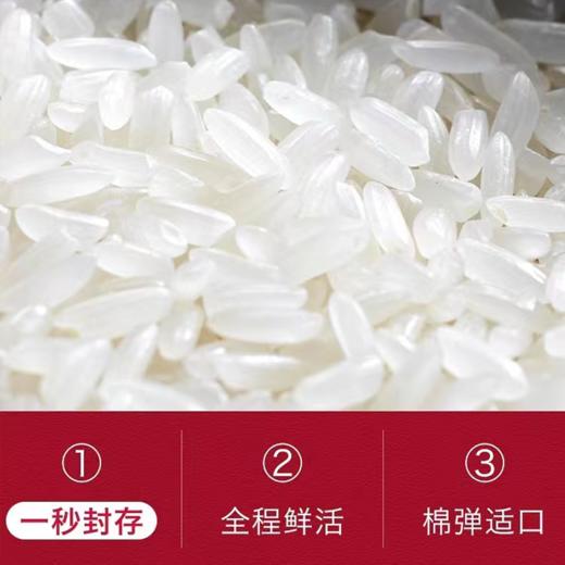 【东北馆】2025新米五常大米锄禾丰稻花香2号5公斤精致礼盒装五常产地直发 商品图3