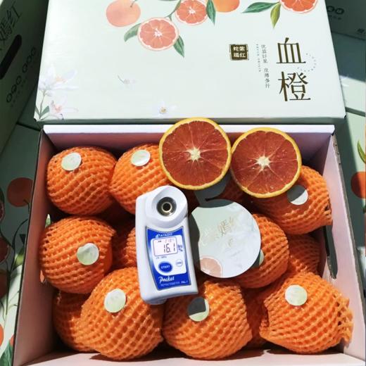 姹紫嫣红血橙 | 水果 商品图3