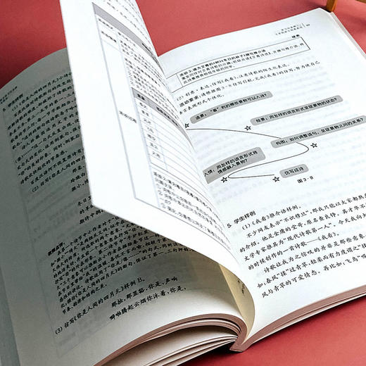 初中语文学习任务群解析与课例 中小学语文教育 周静 商品图12