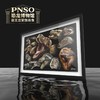 PNSO恐龙博物馆霸王龙家族肖像装饰画挂画 商品缩略图0