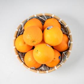 美国新奇士蓝标脐橙16个装-2.5kg+