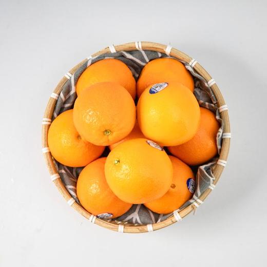 美国新奇士蓝标脐橙16个装-2.5kg+ 商品图0