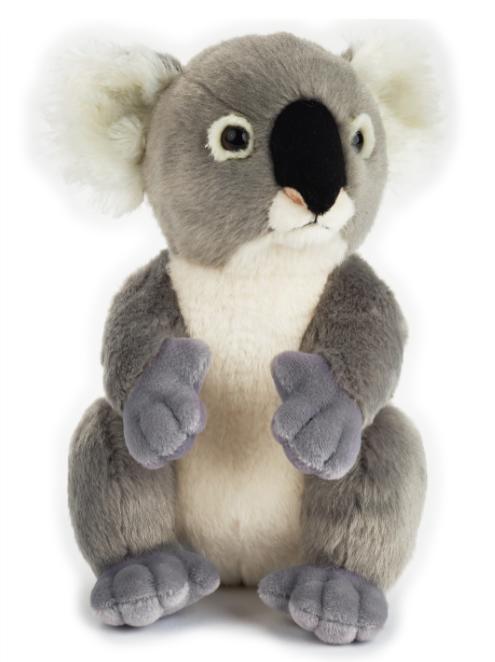 国家地理毛绒玩具动物玩偶礼盒考拉纪念款 商品图1