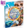 【中商原版】DK动物奇妙之旅 Amazing Animal Journeys 英文原版 儿童科普绘本 动物知识百科图画书 7岁以上 进口自然科学读本 商品缩略图1