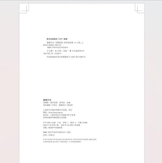 雄狮少年 国漫电影《雄狮少年》正版授权改编作品 商品图3