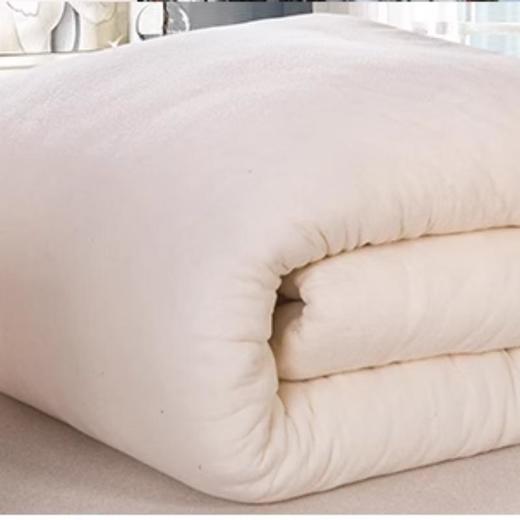 宜居-生活阿克苏棉花被1000g 200*230cm 商品图0