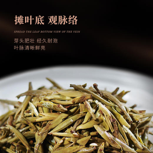 白大师阅天下2019年高山福鼎白茶白毫银针茶叶茶饼典藏礼盒装300g 商品图4