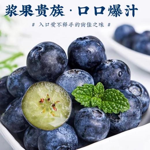 大山蓝莓 /盒  00509 商品图1