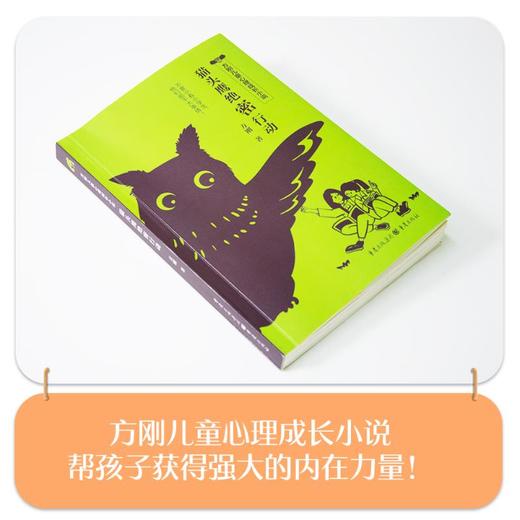 猫头鹰绝密行动 商品图1