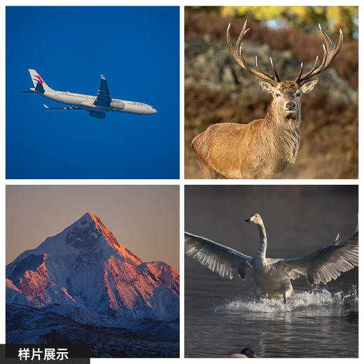 适马（SIGMA）60-600mm F4.5-6.3 DG DN OS｜Sports 全画幅微单 超远摄变焦镜头 人像打鸟（联系客服享优惠） 商品图1