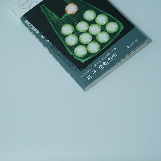 光从哪里来 远子 著 小说 商品图4