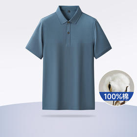【100%棉】【新款DDY】大依优型大码男装短袖Polo衫翻领纯棉珠地网眼加肥加大透气吸汗夏季上衣半袖t恤夏装