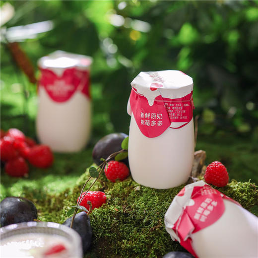 【近期生产】马三三树莓小白罐酸奶 商品图3