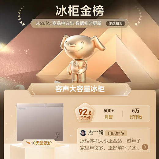 容声（Ronshen） 210升 双温冷柜 大容量冰柜 家用商用 冷藏冷冻  一级能效 独立双温 卧式厨房冰箱BCD-210MSA 商品图1