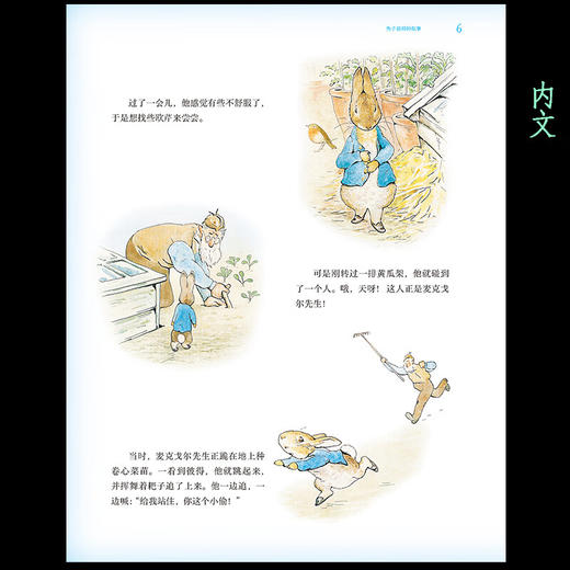 彼得兔的故事 比阿特丽克丝·波特 著 儿童文学 商品图1