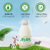 【38女王限时购】西湖牌PET原生高钙鲜牛奶260mL（每日配送，低温鲜奶，月套餐，每日配送） 商品缩略图3