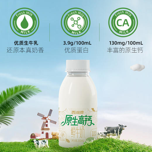 【38女王限时购】西湖牌PET原生高钙鲜牛奶260mL（每日配送，低温鲜奶，月套餐，每日配送） 商品图3