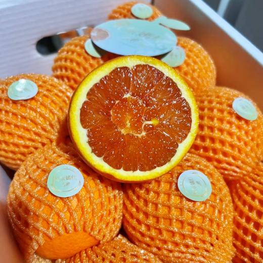 姹紫嫣红血橙 | 水果 商品图4