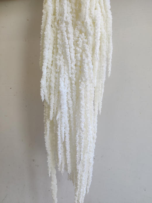 国产花材-永生【吊米】 商品图1