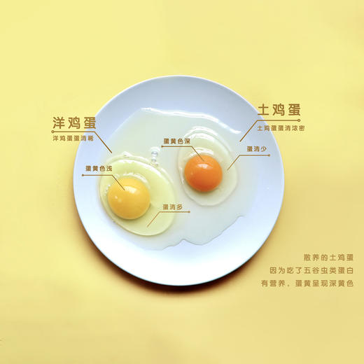 小糖臻选X药膳鸡土鸡蛋 50枚/箱 商品图4