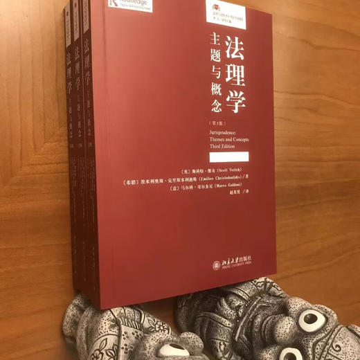 法理学  主题与概念 斯科特·维奇等 著 法律 商品图1