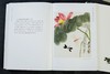 《齐白石绘画艺术》全4册 商品缩略图5