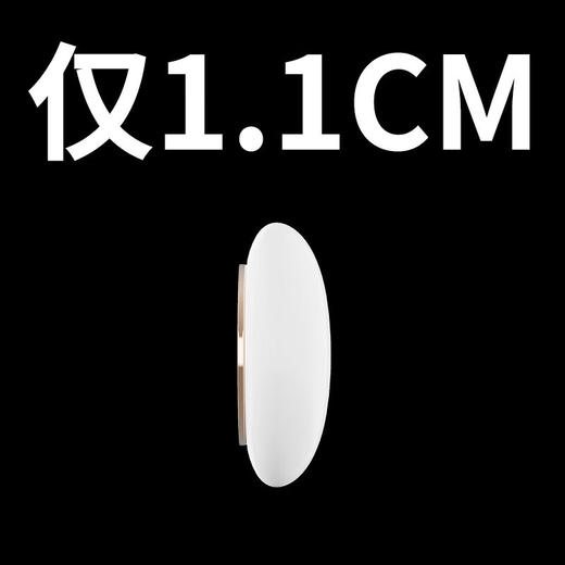 cachito 漫步mini外出穿戴异地遥控 商品图9