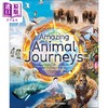 【中商原版】DK动物奇妙之旅 Amazing Animal Journeys 英文原版 儿童科普绘本 动物知识百科图画书 7岁以上 进口自然科学读本 商品缩略图0