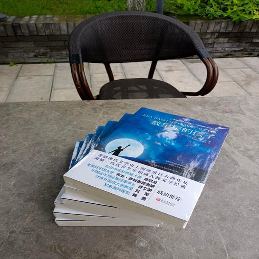 数星星的孩子 梅奈劳斯·朗特米斯 著 小说 商品图1