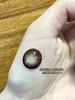 『大直径半年抛』 YEELENS- 大美目棕-14.5mm【半年抛0-800度 无525/575】 商品缩略图1