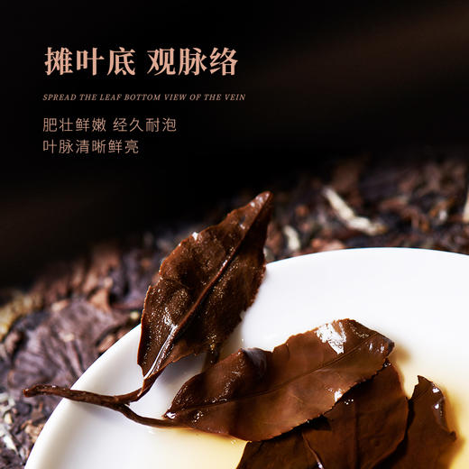 白大师阅天下2015年福鼎白茶陈年寿眉茶叶陈年老白茶茶饼礼品300g 商品图4