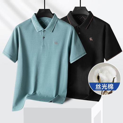 【丝光棉】【新款DPS】大依优型大码男装短袖POLO衫翻领丝光棉加肥加大透气吸汗夏季上衣半袖t恤夏装 商品图0