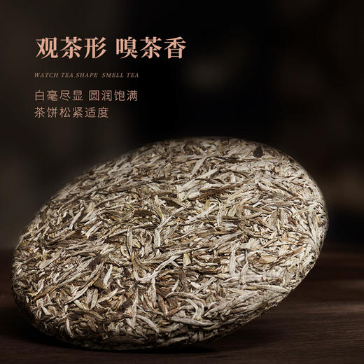 白大师阅天下2019年高山福鼎白茶白毫银针茶叶茶饼典藏礼盒装300g 商品图2