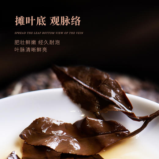 白大师阅天下2017年福鼎白茶老寿眉陈年枣香寿眉茶饼茶叶礼盒300g 商品图4