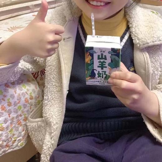 【安牧山羊奶】AMC脱膻发明专利  200ml*10盒 商品图3