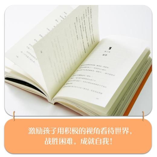 女孩和流浪猫 商品图4