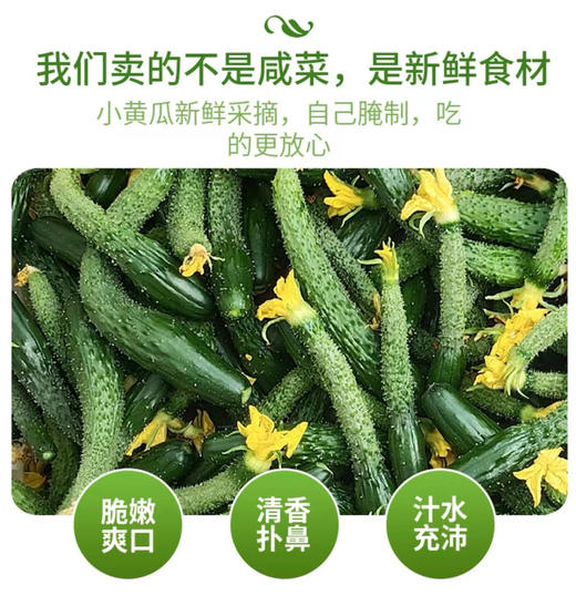 脆嫩黄瓜妞儿！很难买到！腌个小咸菜、拌个小凉菜，十分爽口又开胃！过年大鱼大肉吃多了，换不来这难得的清爽[得意]深夜的酒永远比不上清晨的粥，这就是粥的伴侣！18-19斤，实际19-20斤 商品图4